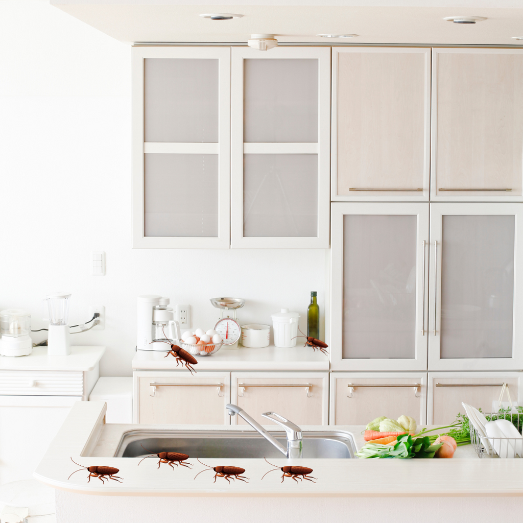 Gel Baiting Application – Townhouse / Semi-Detached (Toronto & GTA)