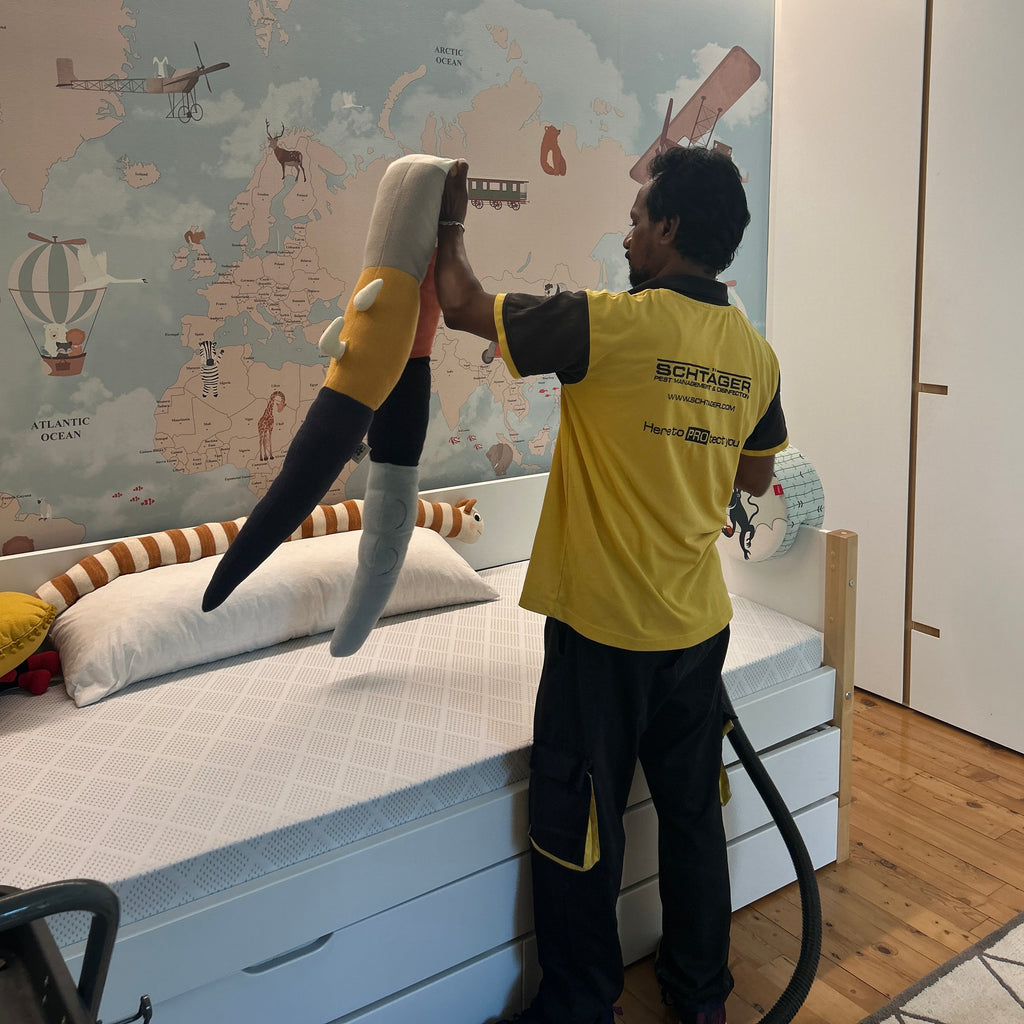 Dry steam sanitization treatment for bacteria and viruses in Toronto by Schtager Canada