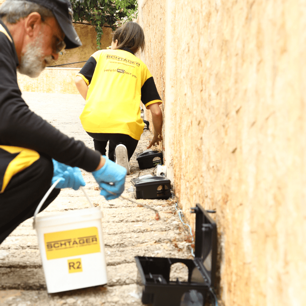 Rodent Control – Commercial Properties (Toronto & GTA)