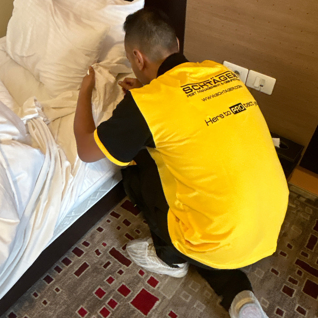 Schtager Canada performing a detailed residential pest inspection in the GTA