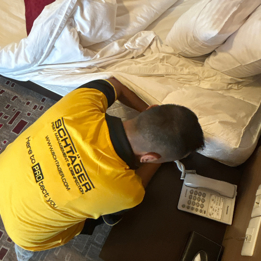 Schtager Canada technician conducting a professional pest inspection in a Toronto home