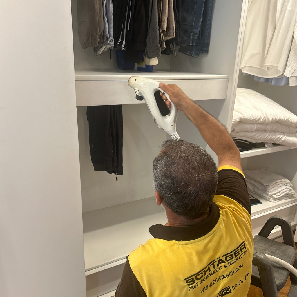 Schtager Canada using high-temperature dry steam to disinfect residential spaces in Toronto