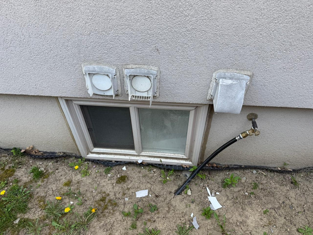 Pest Proofing & Exclusion Toronto & GTA | Schtager – Schtagerca
