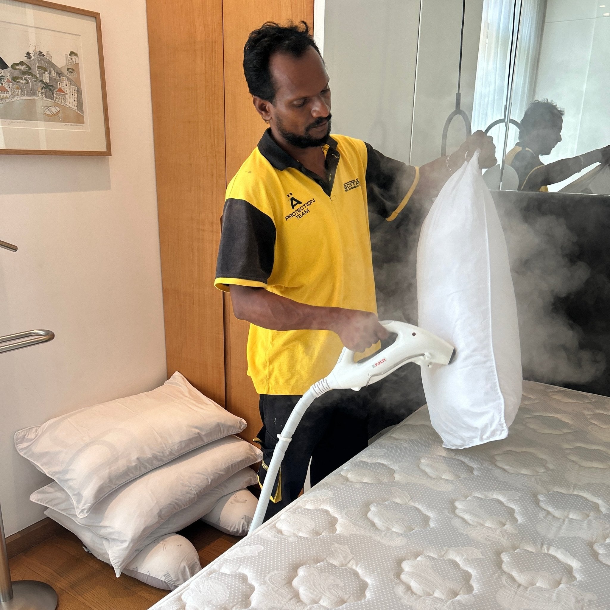 Bed Bug Treatment – Townhouse / Semi-Detached (Toronto & GTA)