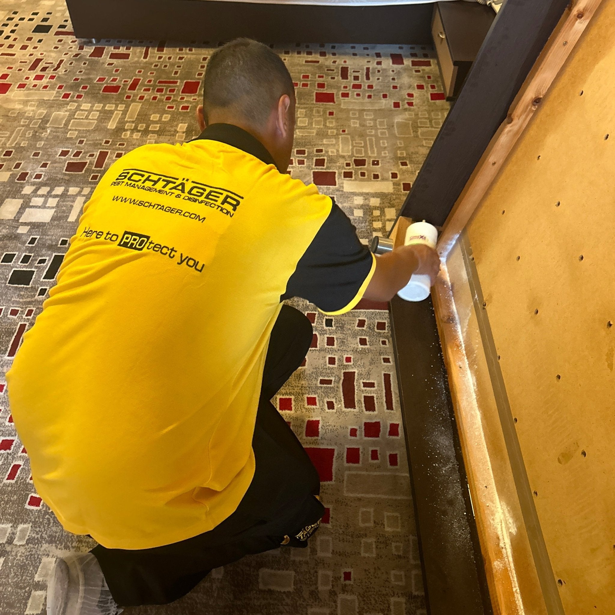 Bed Bug Treatment – Condo (Toronto & GTA)