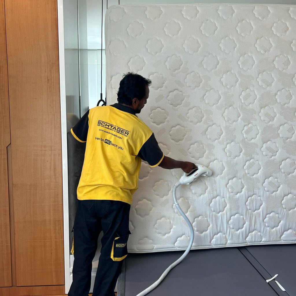 Bed Bug Treatment – Commercial Properties (Toronto & GTA)