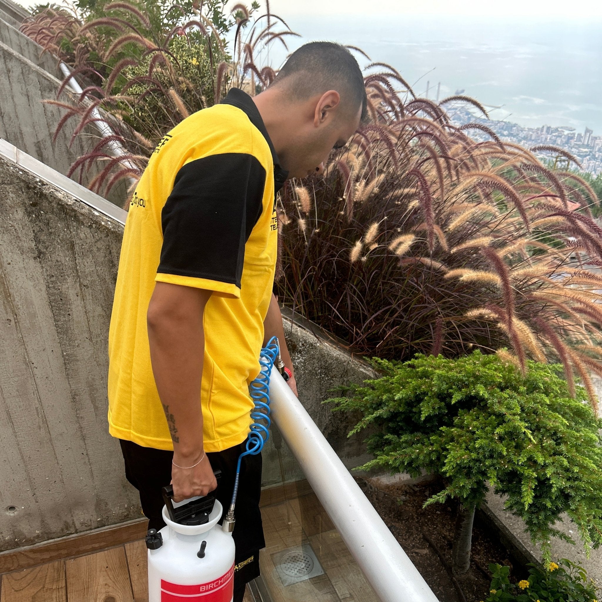 Crawling Insect Treatment – Detached House | Toronto & GTA