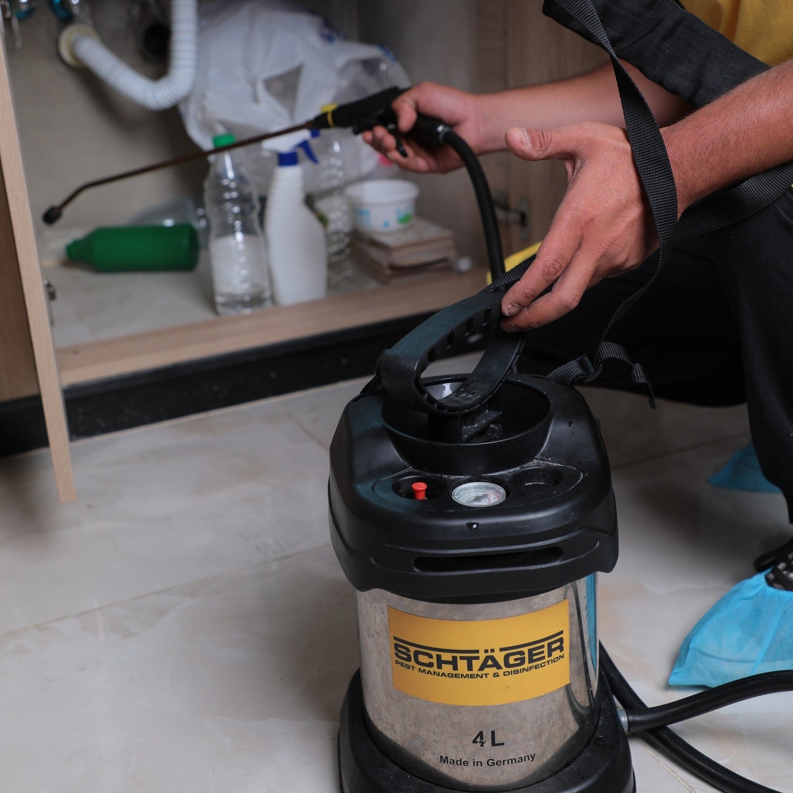 Crawling Insect Treatment for Condos | Toronto & GTA