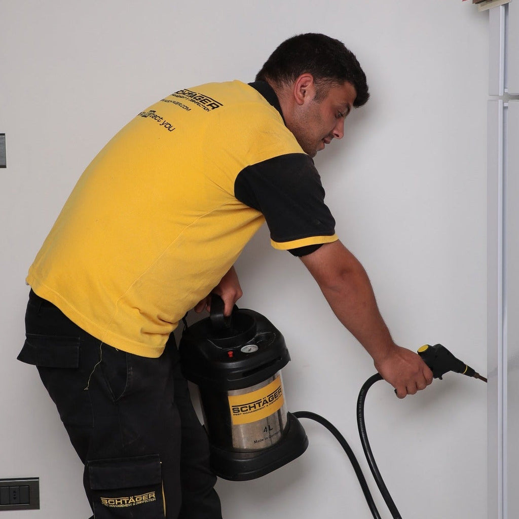 Crawling Insect Treatment – Commercial Properties | Toronto & GTA