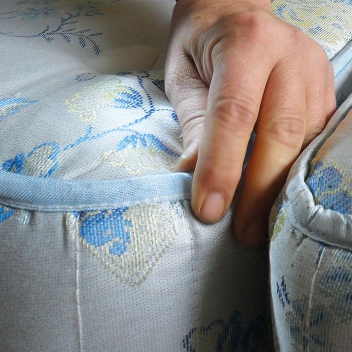 Bed Bug Treatment – Commercial Properties (Toronto & GTA)